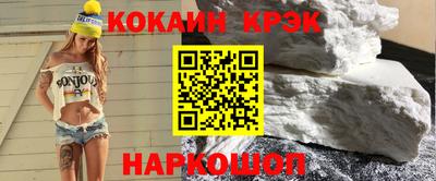 СК Бердск