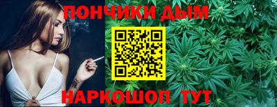 СК Бердск