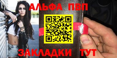 СК Бердск