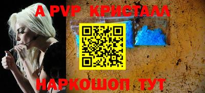 СК Бердск