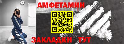 СК Бердск