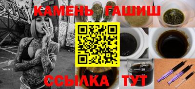 СК Бердск