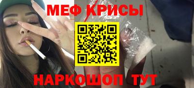 СК Бердск
